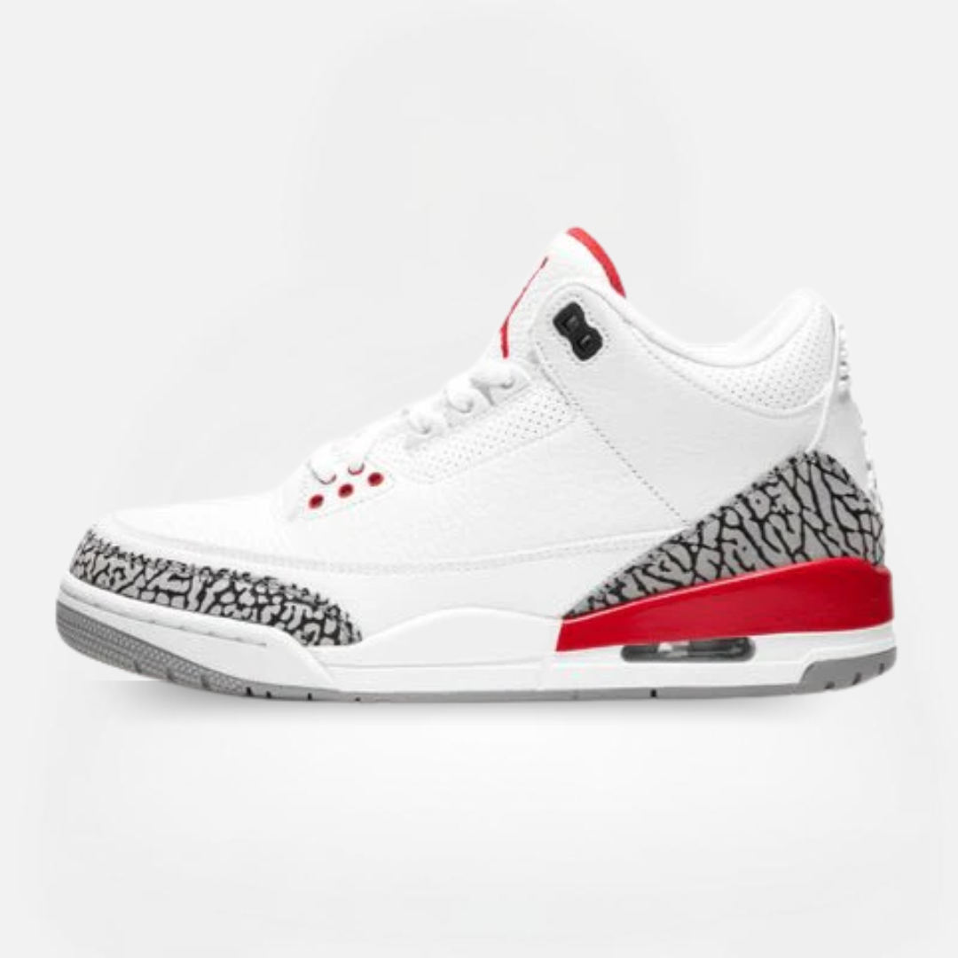 JORDAN 3 RETRO HALL OF FAME